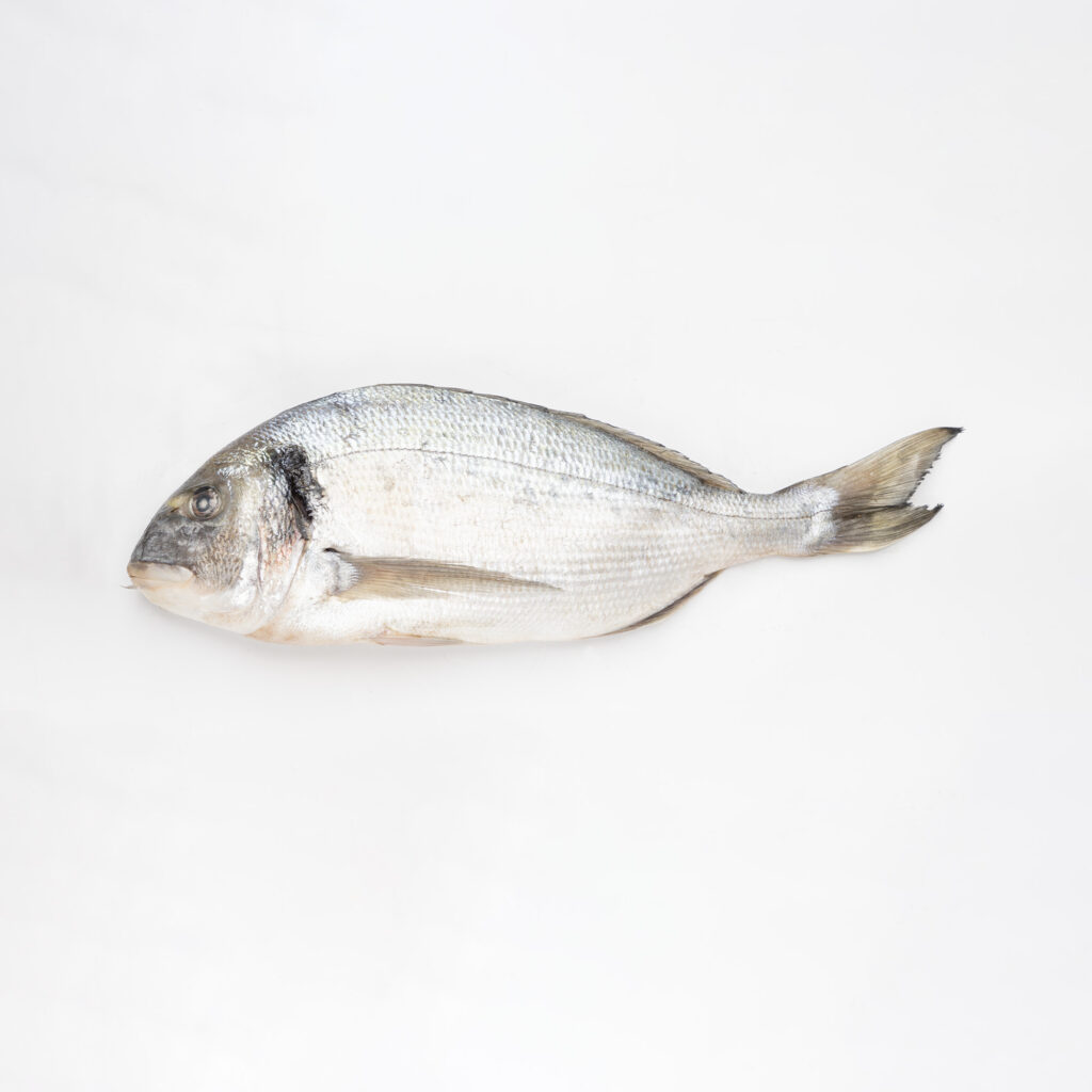 Dorade Royale